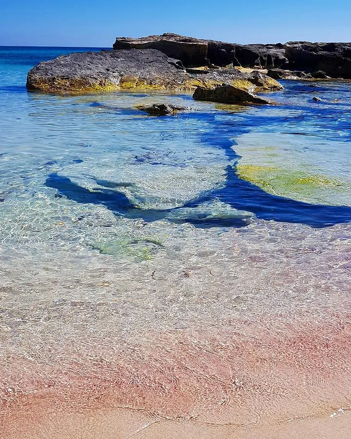 Lamore Villa Favignana Holiday home